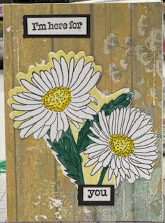 Cards:  All Occasion:  Here For You Daisies