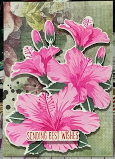 Cards:  All Occasion:  Best Wishes Hibiscus