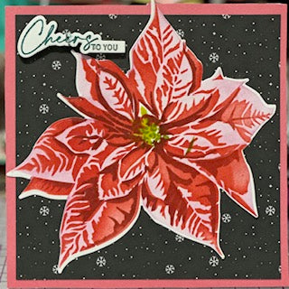 Cards:  Christmas:  Cheers to You Poinsettia