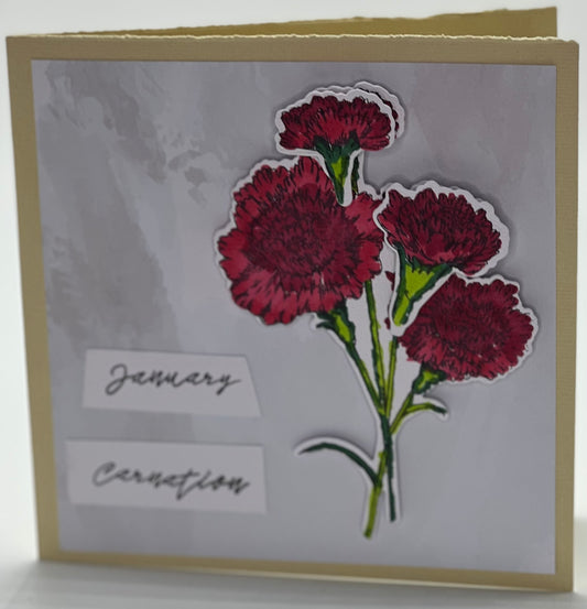 Cards:  All Occasion:  January Carnations