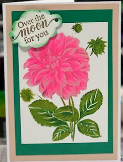 Cards:  All Occasion:  Over the Moon Floral